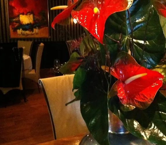 Szálloda Hotel-restaurant Krabbendam