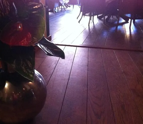 فندق Hotel-restaurant Krabbendam